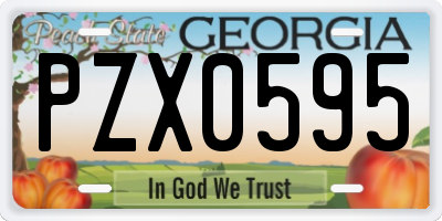 GA license plate PZX0595
