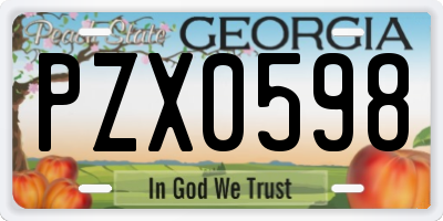 GA license plate PZX0598