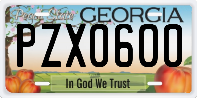 GA license plate PZX0600