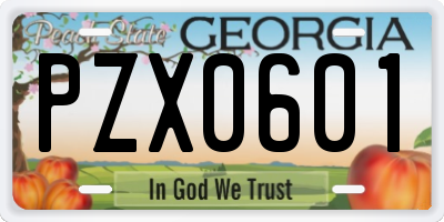GA license plate PZX0601