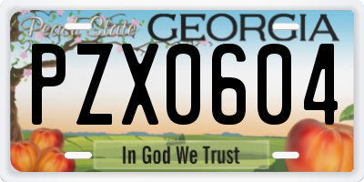 GA license plate PZX0604