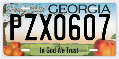 GA license plate PZX0607