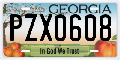 GA license plate PZX0608