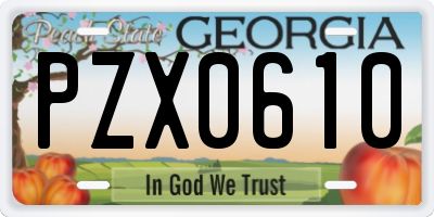 GA license plate PZX0610