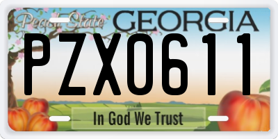 GA license plate PZX0611