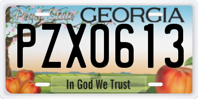 GA license plate PZX0613