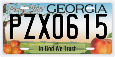 GA license plate PZX0615