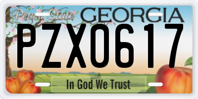 GA license plate PZX0617