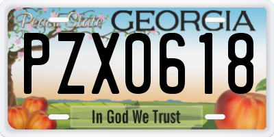 GA license plate PZX0618