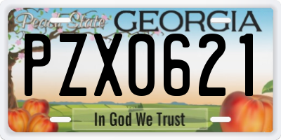 GA license plate PZX0621