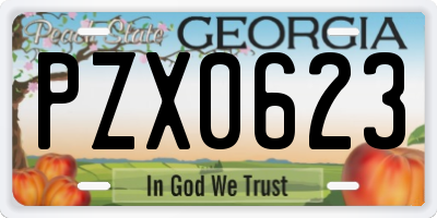 GA license plate PZX0623
