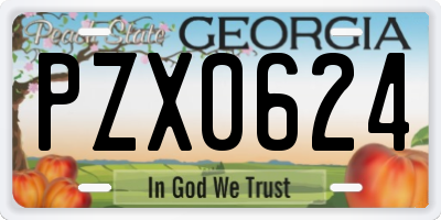 GA license plate PZX0624