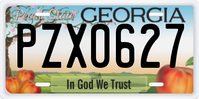 GA license plate PZX0627