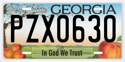 GA license plate PZX0630