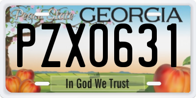 GA license plate PZX0631