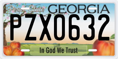 GA license plate PZX0632