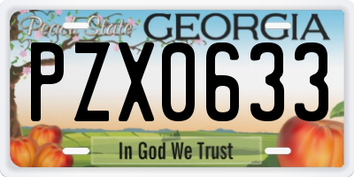 GA license plate PZX0633