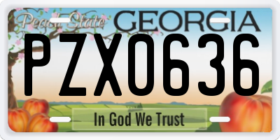 GA license plate PZX0636