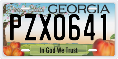 GA license plate PZX0641
