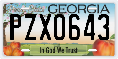 GA license plate PZX0643
