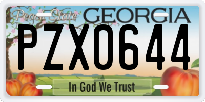 GA license plate PZX0644