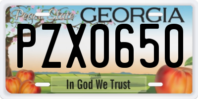GA license plate PZX0650