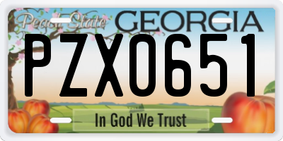 GA license plate PZX0651