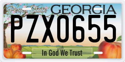 GA license plate PZX0655