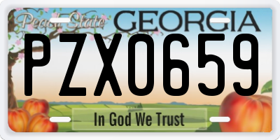 GA license plate PZX0659