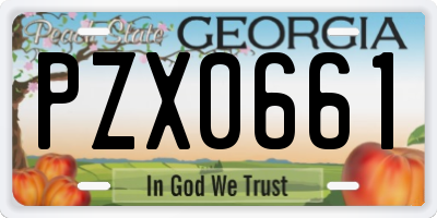 GA license plate PZX0661