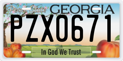 GA license plate PZX0671
