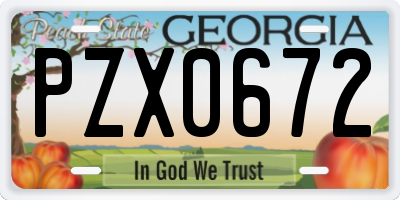 GA license plate PZX0672