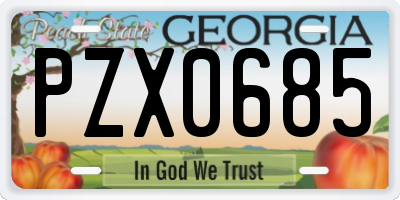 GA license plate PZX0685