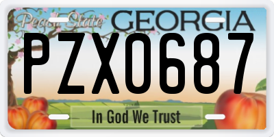 GA license plate PZX0687
