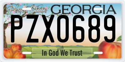 GA license plate PZX0689