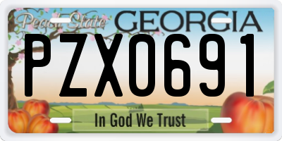 GA license plate PZX0691
