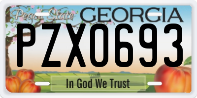 GA license plate PZX0693