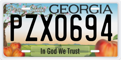 GA license plate PZX0694