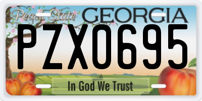 GA license plate PZX0695