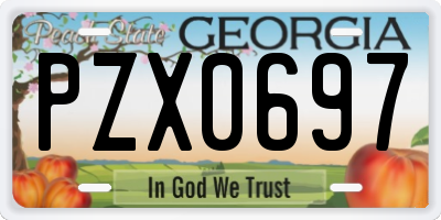 GA license plate PZX0697