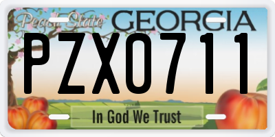 GA license plate PZX0711