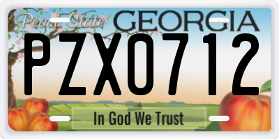 GA license plate PZX0712