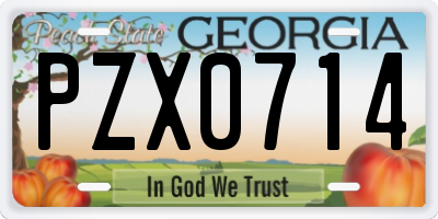 GA license plate PZX0714