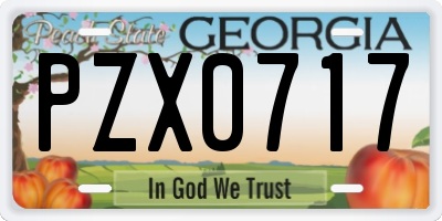 GA license plate PZX0717