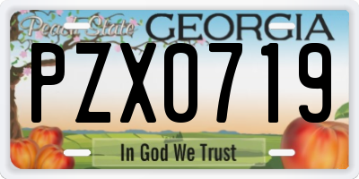 GA license plate PZX0719