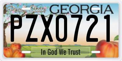 GA license plate PZX0721