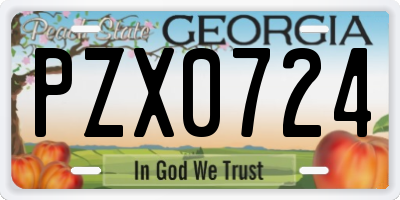GA license plate PZX0724