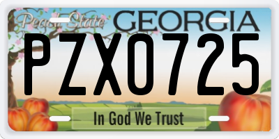 GA license plate PZX0725