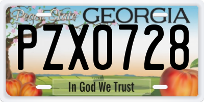 GA license plate PZX0728