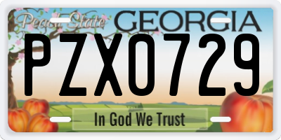 GA license plate PZX0729